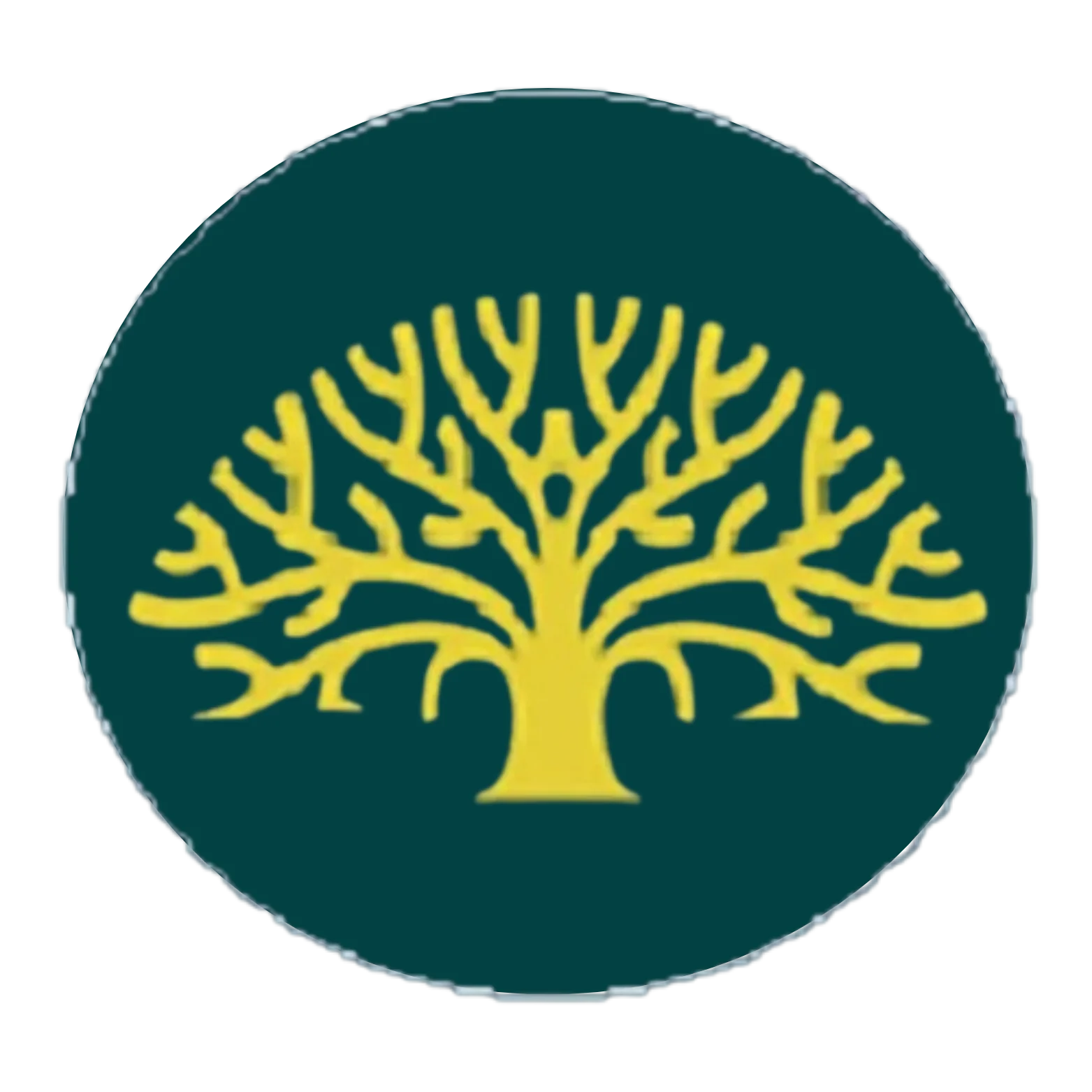 thre-tech-construct-inc